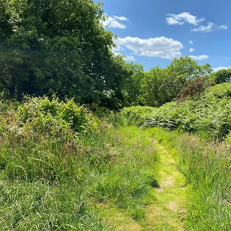 Otterly's Retreat * Скибберин