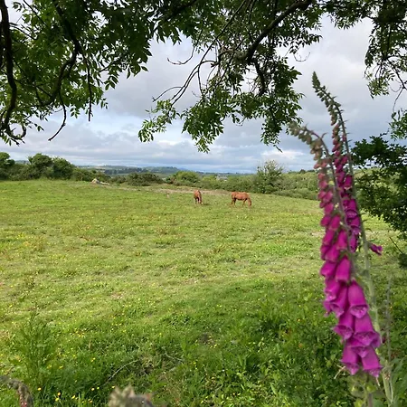 Orman Evi Otterly's Retreat *