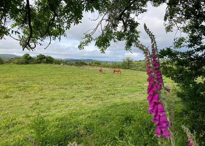 Orman Evi Otterly's Retreat *